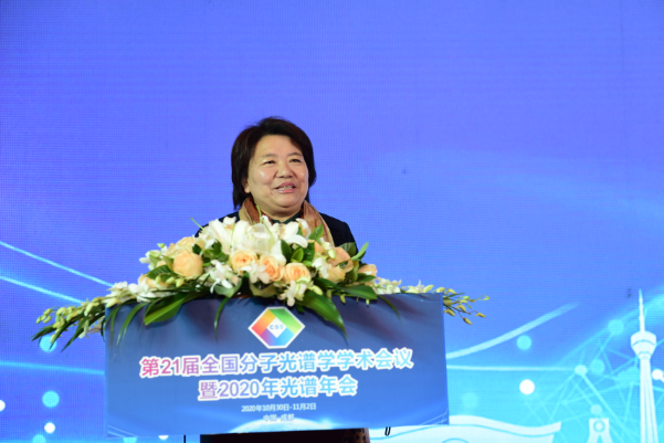 a06d40d17d404ca10e6a88c77e82033